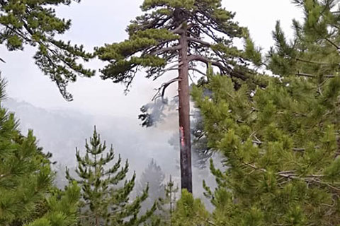 Çameli’ye birbiri ardına yıldırım düştü