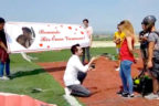 Pamukkale bir sürpriz evlenme teklifine daha şahitlik etti