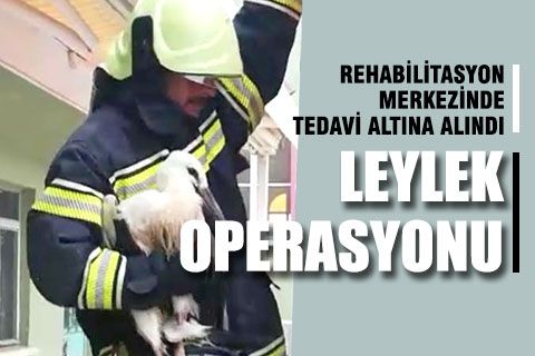 Ayağı sıkışan leyleği itfaiye ekipleri kurtardı