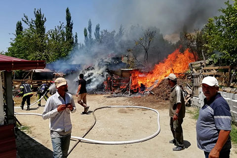 Karakurt’ta çıkan yangında 27 hayvan telef oldu