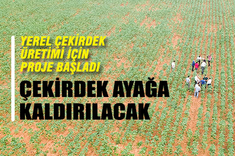 Yerel çekirdek üretimi için proje başlatıldı