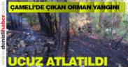 Çameli’de çıkan orman yangını ucuz atlatıldı
