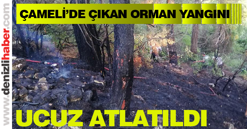 Çameli’de çıkan orman yangını ucuz atlatıldı