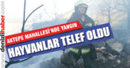 Aktepe Mahallesi’nde 4 dönümlük otluk alan yandı
