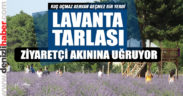 Kuş uçmaz kervan geçmez bir yer, lavanta tarlasıyla popiler oldu