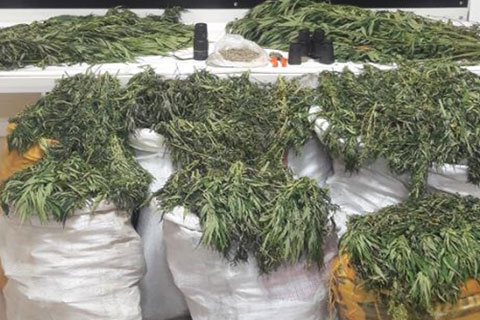 Polis 93 kilogram esrar ele geçirdi, 3 zanlı gözaltında