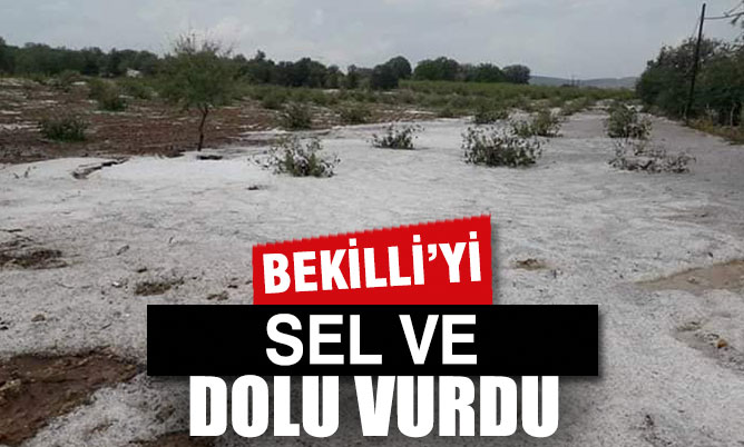 Bekilli’yi dolu ve sel vurdu