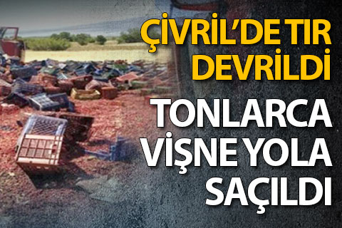 Çivril’de TIR devrildi, tonlarca vişne yola saçıldı