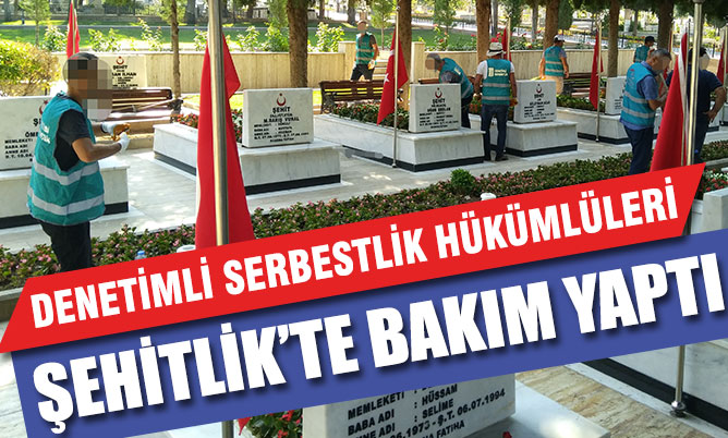Denetimli serbestlik hükümlüleri Şehitlik’te bakım yaptı