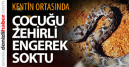 Kentin ortasında çocuğu yılan soktu