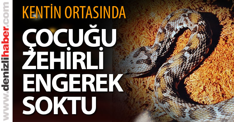 Kentin ortasında çocuğu yılan soktu