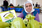 Tescilli Kale Biberi’nde bu yıl yüzde 30 rekolte artışı bekleniyor