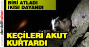 Mahsur kalan keçileri AKUT kurtardı