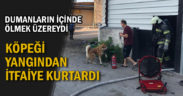 Yanan işyerindeki köpeği itfaiye ekipleri kurtardı