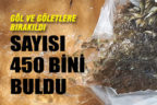 Göl ve göletlere bırakılan yavru sazan sayısı 450 bini buldu