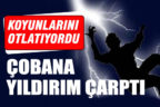 Koyunlarını otlatan çobana yıldırım çarptı