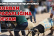 KURBAN PAZARINDA HAREKETLİLİK SÜRÜYOR