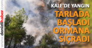 TARLA KENARINDA BAŞLADI ORMANLIK ALANA SIÇRADI