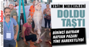 Kesim merkezleri doldu taştı