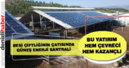 Besi çiftliğinin çatısında güneş enerji santrali