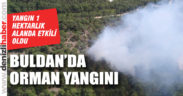 Buldan’da orman yangını
