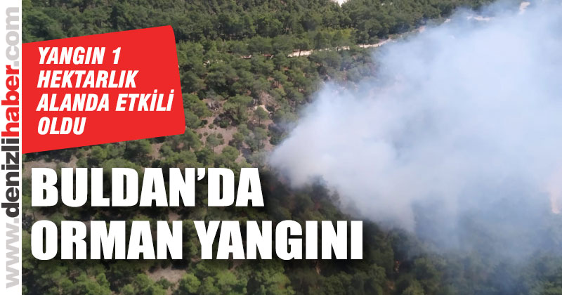 Buldan’da orman yangını