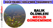 Süleymanlı Gölü’ndeki balık ölümleri meclis gündeminde