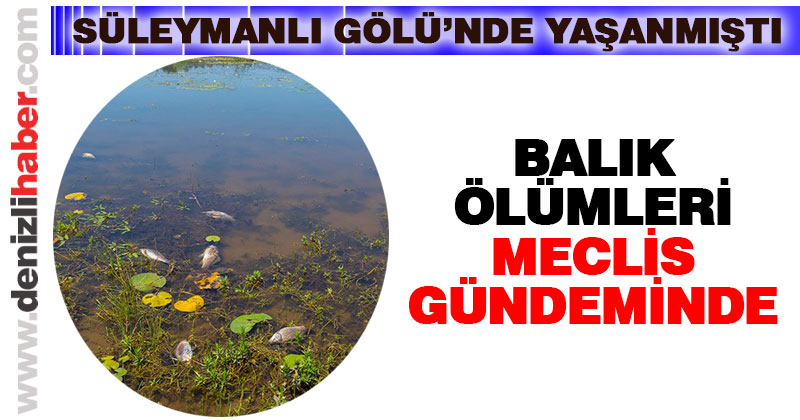 Süleymanlı Gölü’ndeki balık ölümleri meclis gündeminde