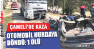 Süt Kamyonu ile otomobil çarpıştı: 1 ölü