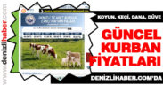 Günlük kurbanlık fiyatlarını bu ilandan görebilirsiniz
