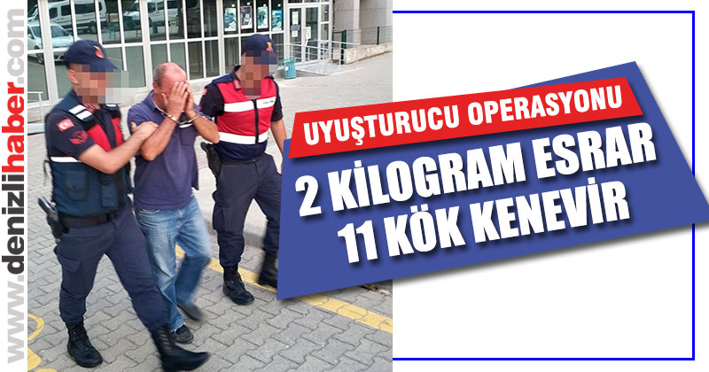 Honaz’da esrar operasyonu