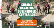Sulama kanalında mahsur kalan köpek kurtarıldı