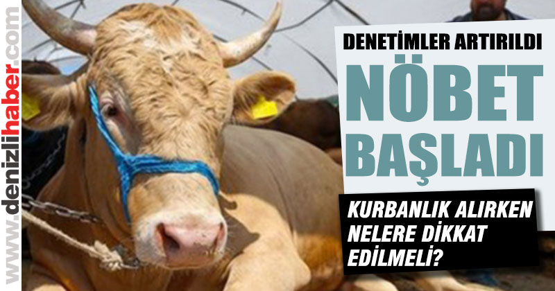 Bayram boyunca Veteriner Hekimleri nöbet tutacak