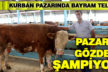 Hayvan pazarında bayram telaşı