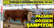 Hayvan pazarında bayram telaşı
