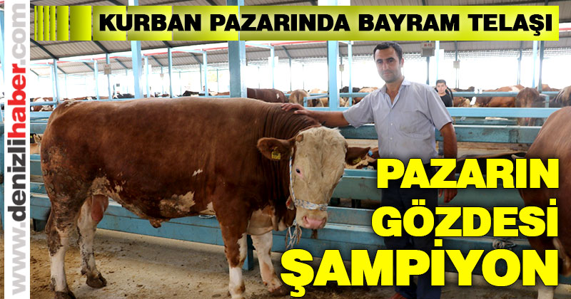 Hayvan pazarında bayram telaşı
