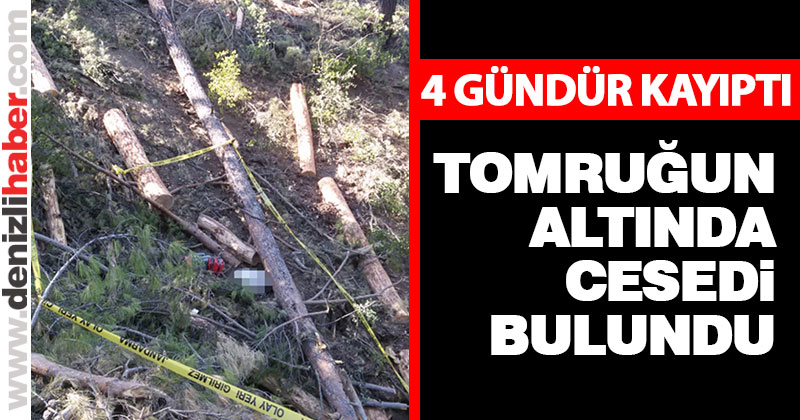 Kayıp orman işçisinin tomruk altında cesedi bulundu