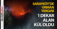 Sarayköy’de orman yangını: 1 dekar alan kül oldu