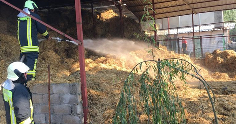 Tavas’taki yangında 3 bin saman balyası yandı