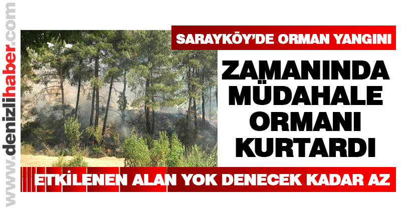Sarayköy’de orman yangını