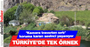 Türkiye’de Tek Örnek