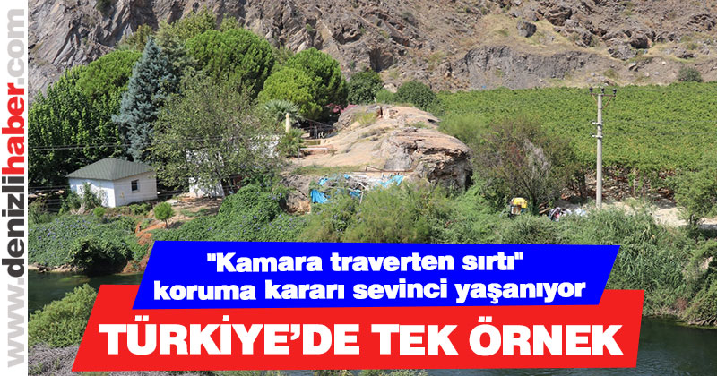 Türkiye’de Tek Örnek