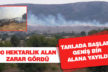 Bekilli’de ot yangını korkulu anlar yaşattı