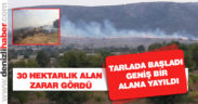 Bekilli’de ot yangını korkulu anlar yaşattı