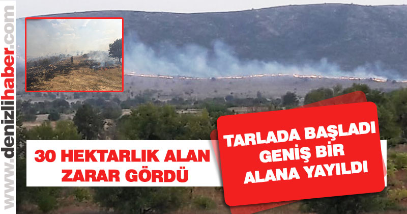 Bekilli’de ot yangını korkulu anlar yaşattı