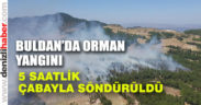 Buldan’da orman yangını başladı