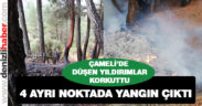 Çameli’de dört ayrı noktaya düşen yıldırımlar yangına neden oldu