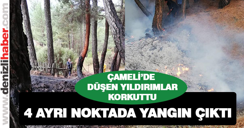 Çameli’de dört ayrı noktaya düşen yıldırımlar yangına neden oldu