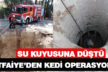15 metrelik kuyuya düşen kediyi itfaiye kurtardı