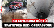 15 metrelik kuyuya düşen kediyi itfaiye kurtardı